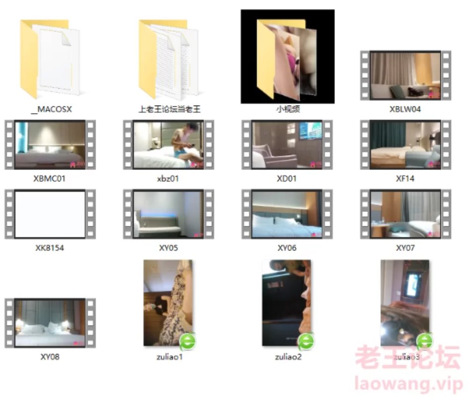 [自拍] [自行打包] 约炮+小视频合集 [55v+9.6g][其他云盘]