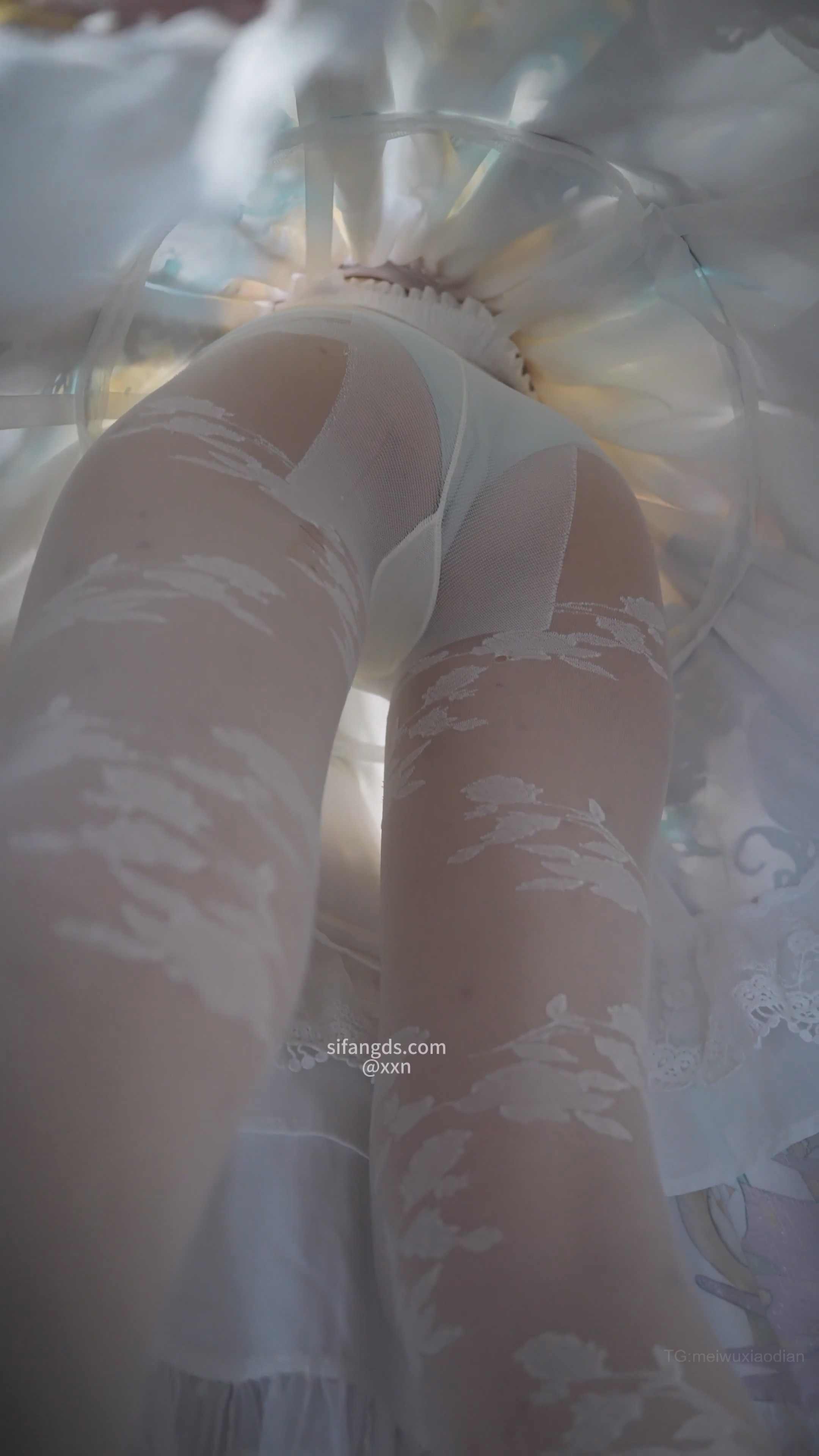 【Banana cat】2501合集-15【2.2G】